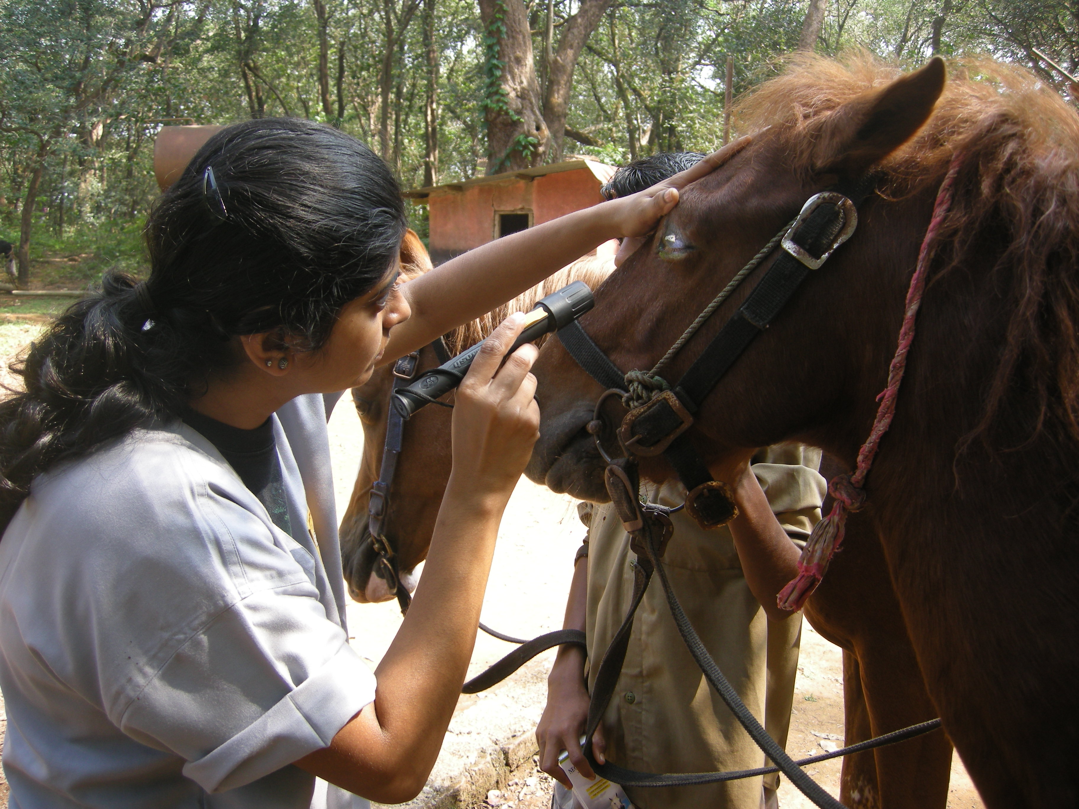 Eye Examination During The Camp 2014